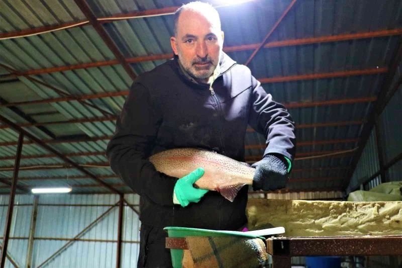 Sivas’tan Avrupa’ya balık ihraç ediliyordu, üretim azaldı

