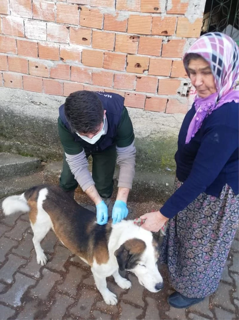Köylülerin kedi ve köpeklerine kuduz aşılaması yapıldı
