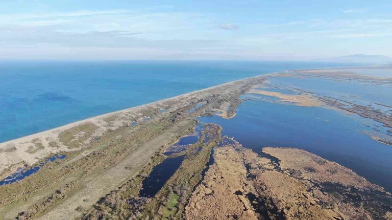Karacabey longoz ormanları suyla buluşmaya başladı
