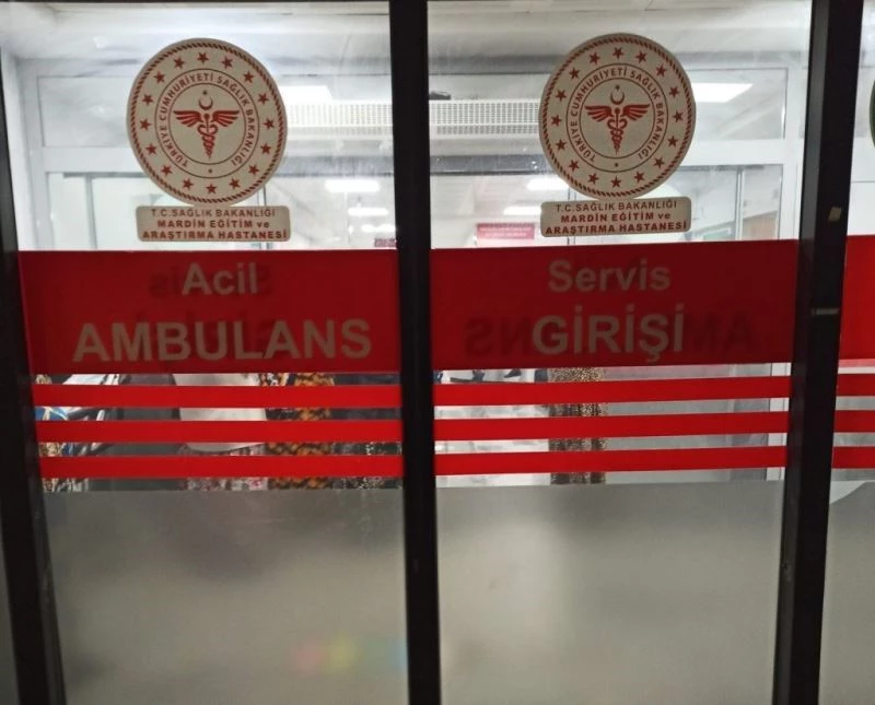 Marketten dönerken otomobilin çarptığı kadın hayatını kaybetti
