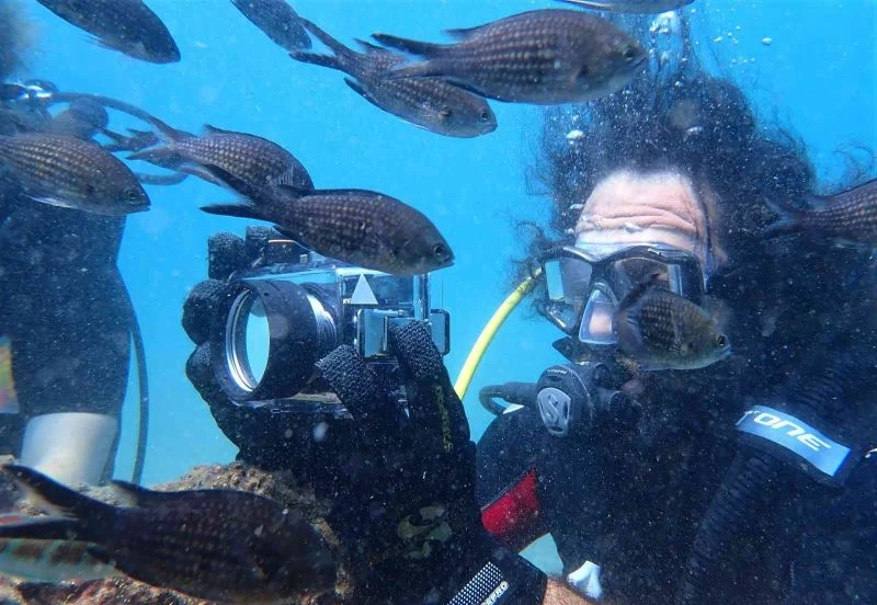 Keşif dalışında ilk defa görüldü: Zehirli dikenli çizgili kedi balığı Akdeniz’e yerleşti
