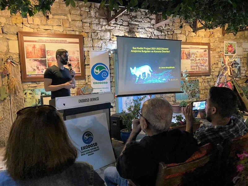 Aydın’da nesli tehlike altında olan Saz Kedisi konuşuldu
