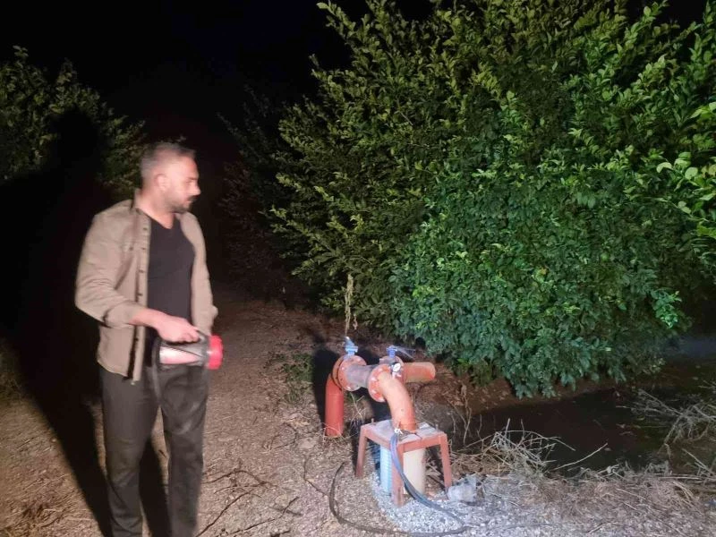 Limon bahçesinde gece gündüz hırsızlık nöbeti
