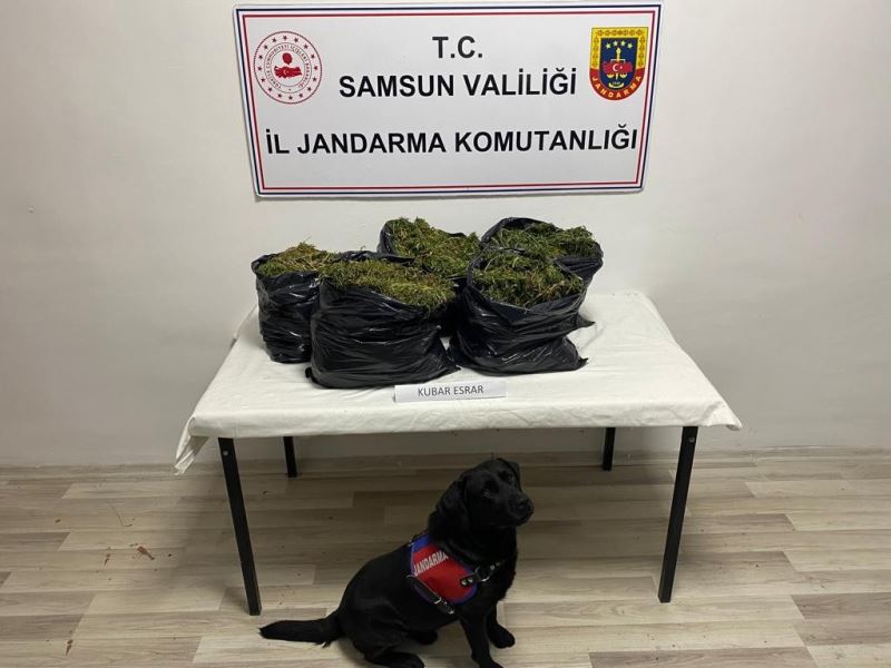 Samsun’da yazlık eve operasyon: 15 kilo kubar esrar ele geçirildi, 2 kişi yakalandı
