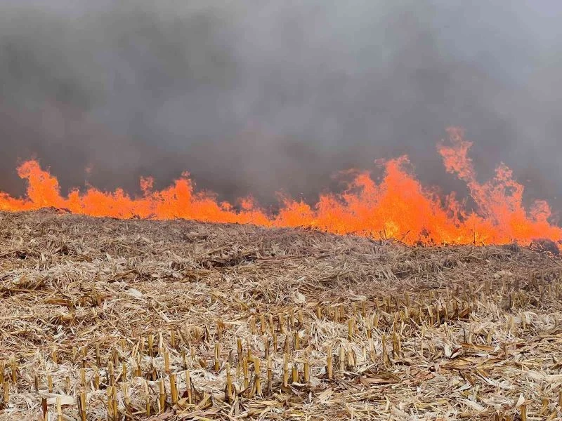 Mardin’de anız yangını gökyüzünü dumana bürüdü
