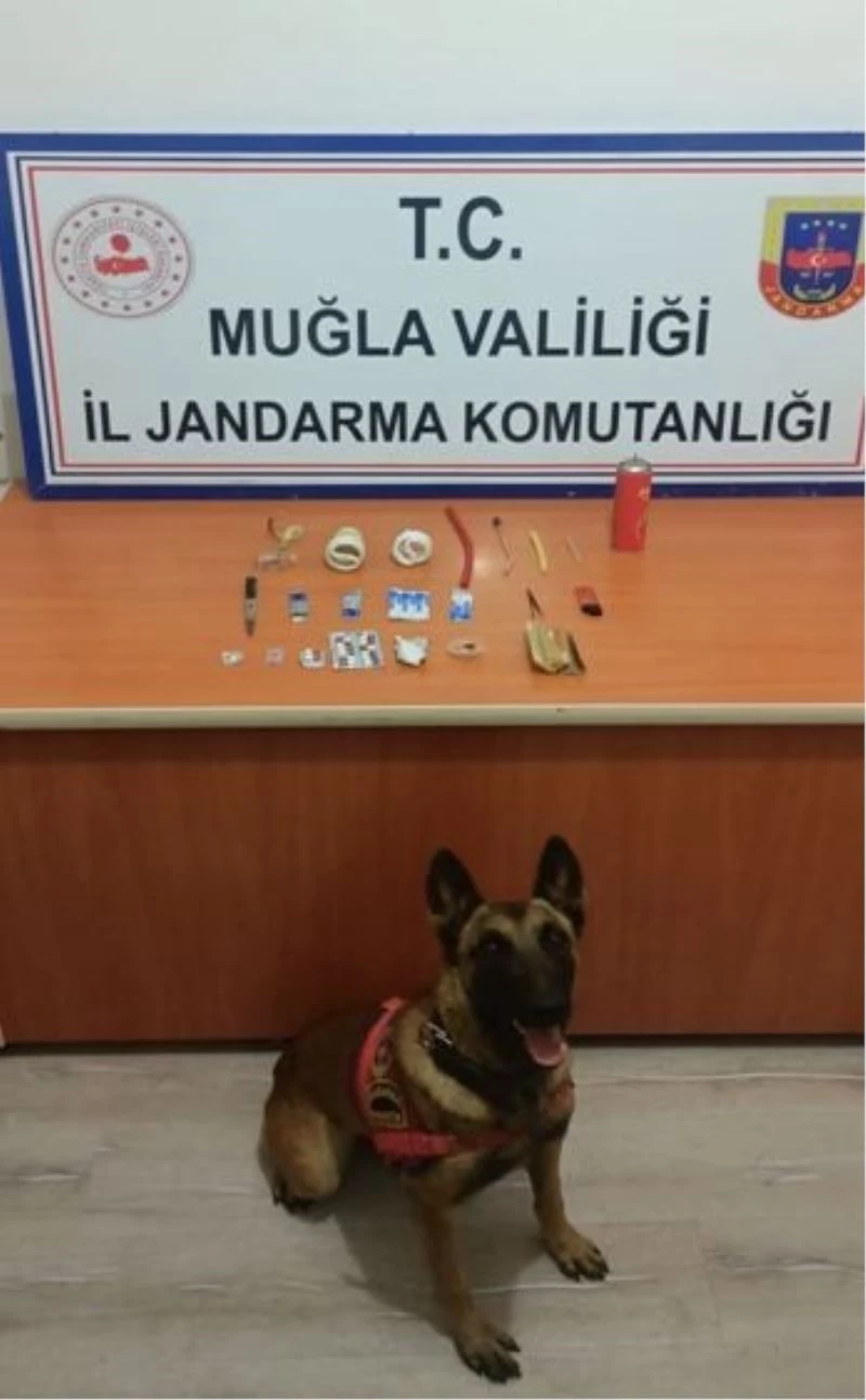 Jandarma’nın detektör köpeği uyuşturucuya geçit vermedi
