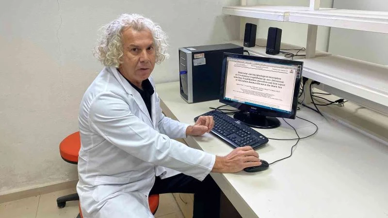 Karadeniz’de yetişen kalkan balığında iki yeni parazit keşfedildi
