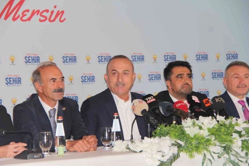 Çavuşoğlu: 