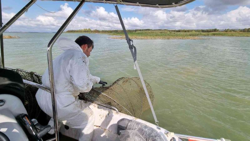 Büyükçekmece Gölü kaçak balık avcılığında kullanılan malzemelerden temizleniyor
