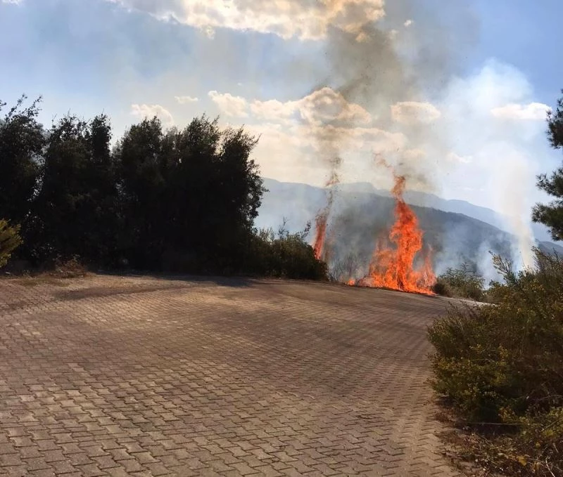 Temizlik amaçlı yakılan çalılar tehlikeye davetiye çıkardı
