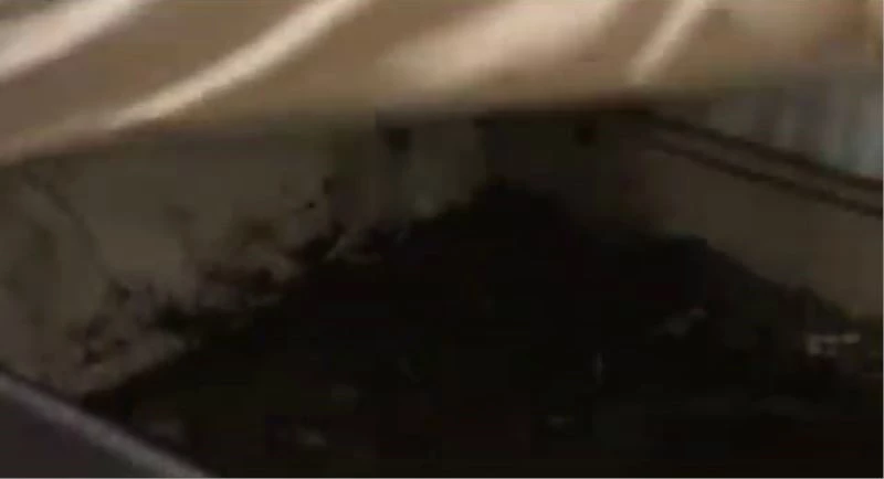 Yatağın altından yorgan yerine bakın ne çıktı
