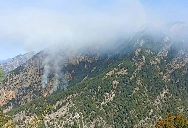 Sarp arazide çıkan orman yangınını kontrol altına alma çalışmaları sürüyor
