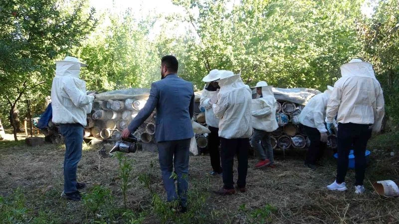 Van’da davullu zurnalı bal hasadı
