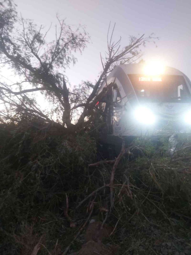 Alaşehir’de tren raylarına ağaç devrildi
