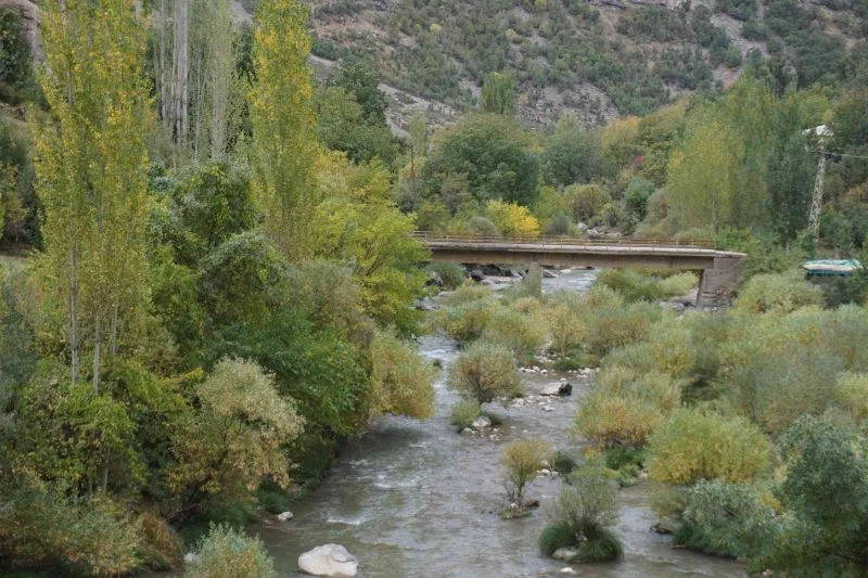 Sonbaharla birlikte Şırnak sarardı, kartpostallık görseller oluştu
