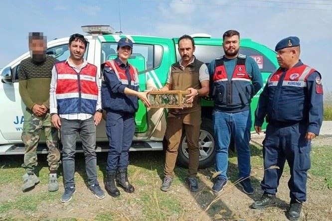 Ağ düzeneğiyle saka kuşu avlayan şahsa 29 bin 627 lira ceza kesildi