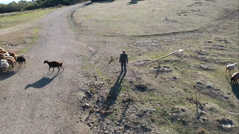 Çobanın dron ile imtihanı
