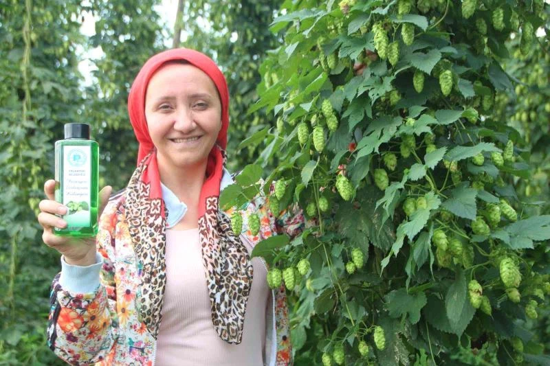 Türkiye’de sadece Bilecik’te yetişen şerbetçi otunun kolonyasında seri üretime geçilecek
