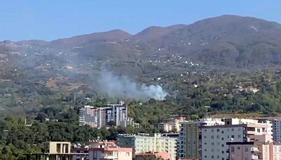 Yerleşim yeri yakınında çıkan orman yangını söndürüldü