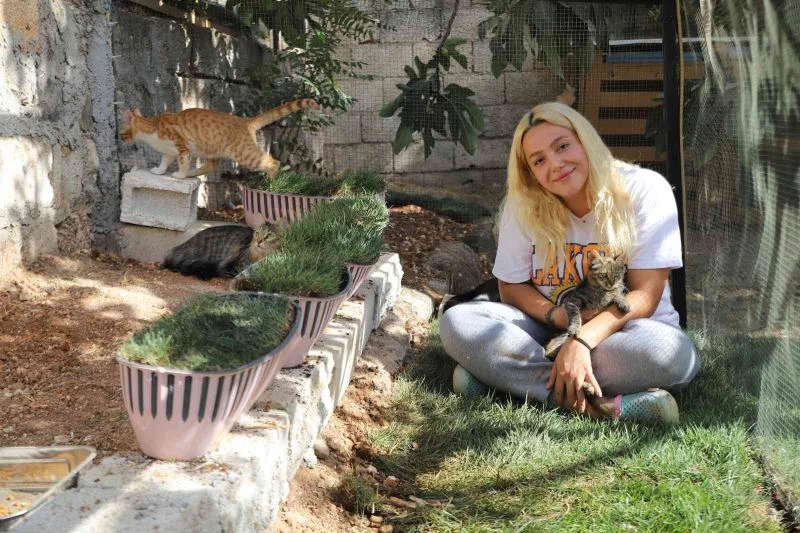 Gaziantepli hayvanseverden örnek davranış
