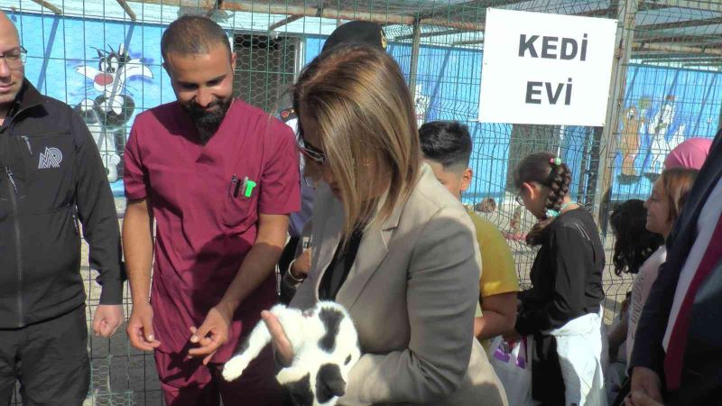 Nevşehir Valisi ilk defa kediye dokundu
