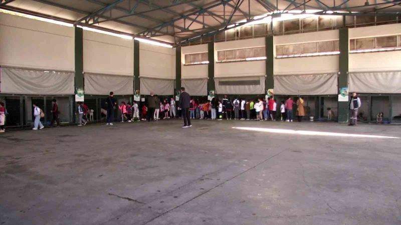 Bağcılar’da ilkokul öğrencilerinden Dünya Hayvanları Koruma Günü’ne özel hayvan barınağı ziyareti
