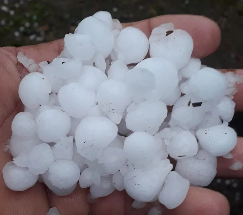 Trabzon’un Şalpazarı ilçesinde dolu yağışı etkili oldu
