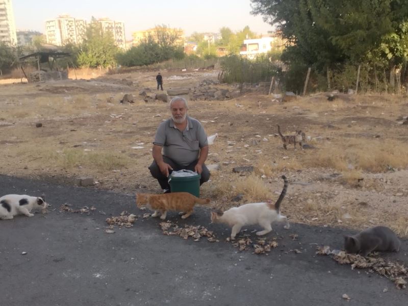 Diyarbakır’ın Derman Baba’sı sokak hayvanlarını unutmadı
