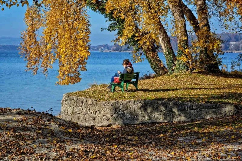 “Mevsimsel depresyon dünya nüfusunun yüzde 6’sını etkiliyor”
