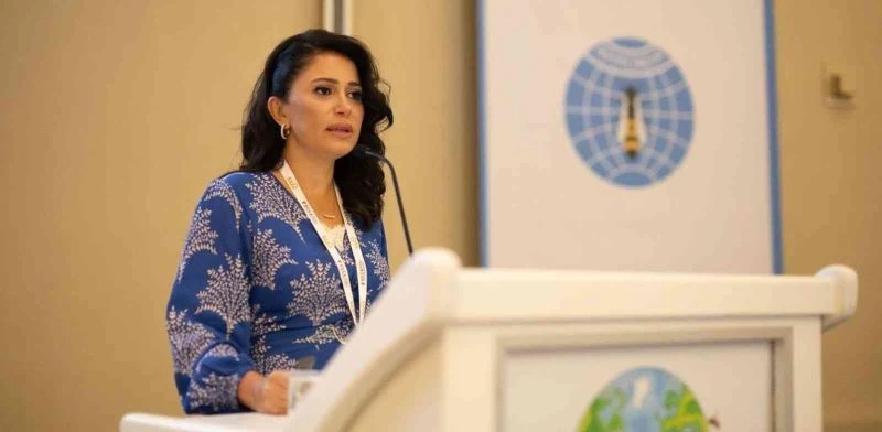 Anadolu Propolisi’nin ağız içi yaralarına etkisi
