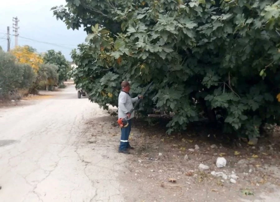 Kadirli’de görüşü engelleyen ağaçlar budanıyor