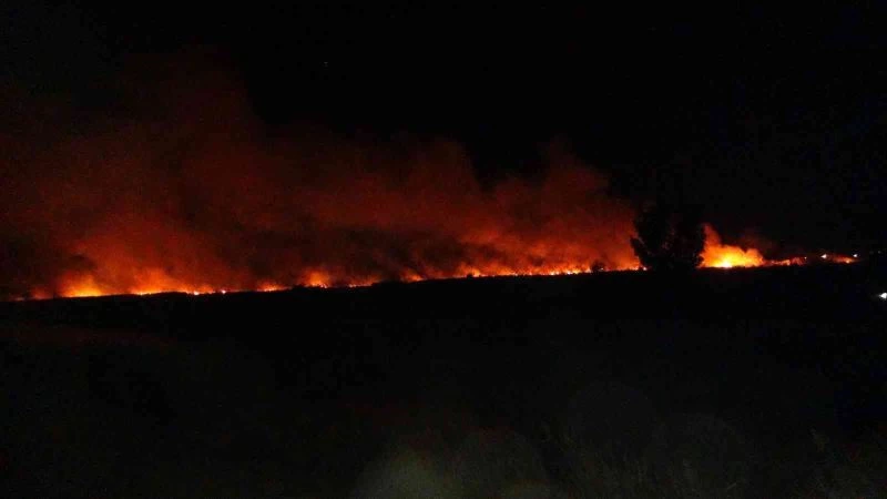 Uluslararası koruma altında bulunan Göksu Deltası’nda yangın
