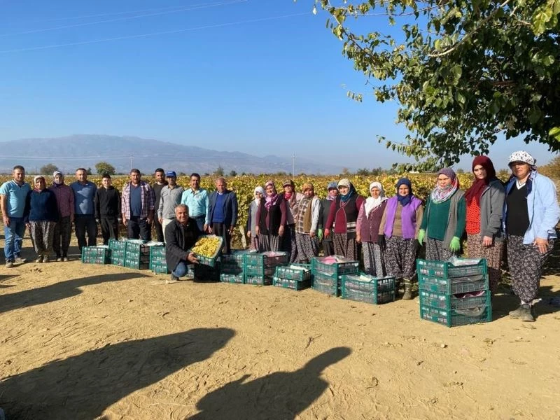 Üzüm bağında Atatürk’ü unutmadılar
