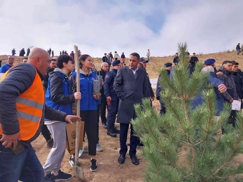 Eski maden ocağı yeşerecek
