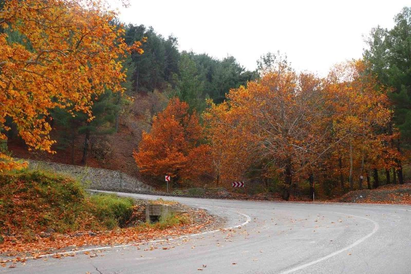Adana’nın saklı cenneti Belemedik renk cümbüşüne büründü
