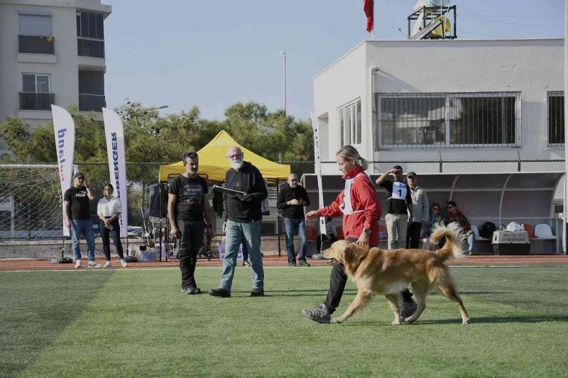 Kuşadası geleceğin arama kurtarma köpeklerini ağırladı
