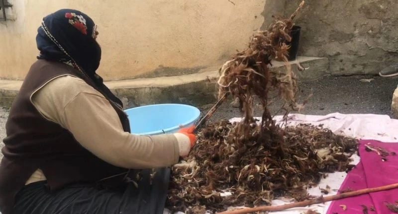 Kadınların yün çırpma mesaisi
