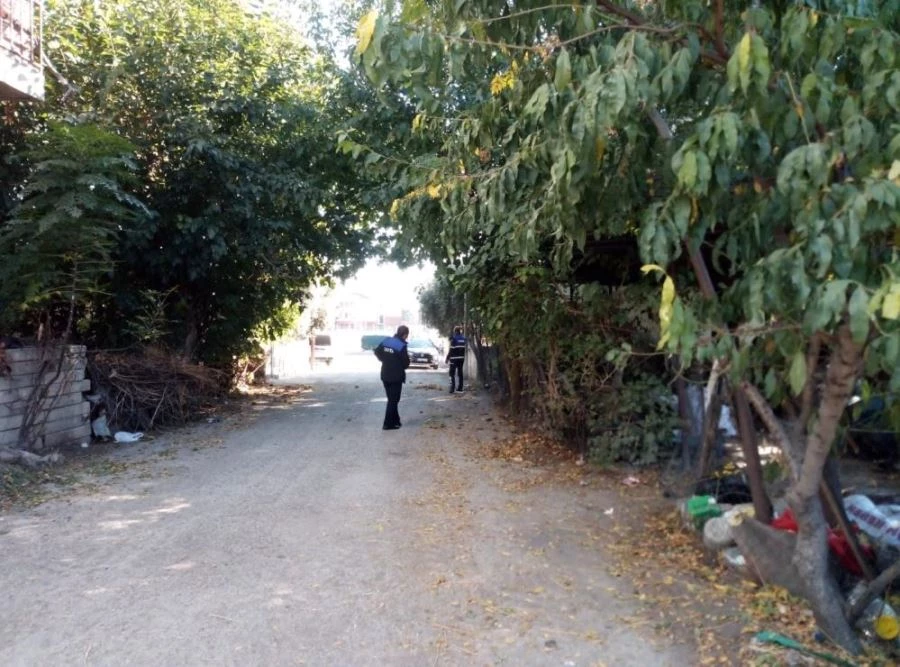 Kadirli’de görüşü engelleyen ağaçlar budanıyor