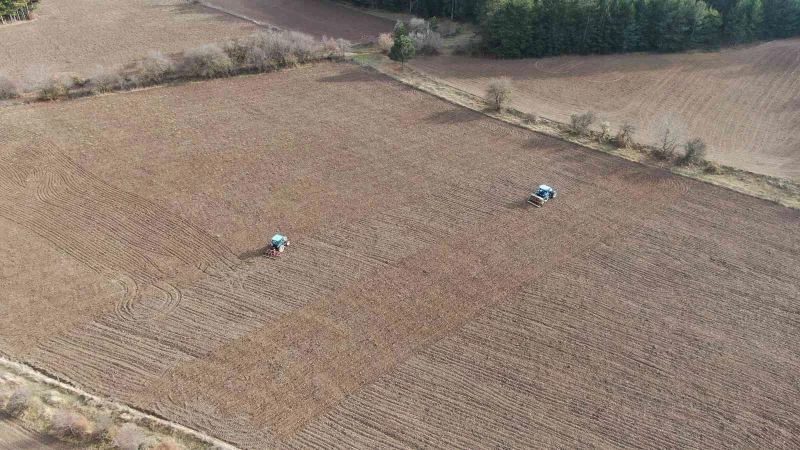 ‘Bulgurun atası’ siyezin ekimine başlandı
