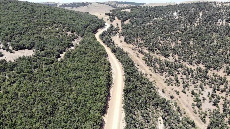 Özükavak beldesinde 5 kilometrelik yayla yolu kullanıma açıldı
