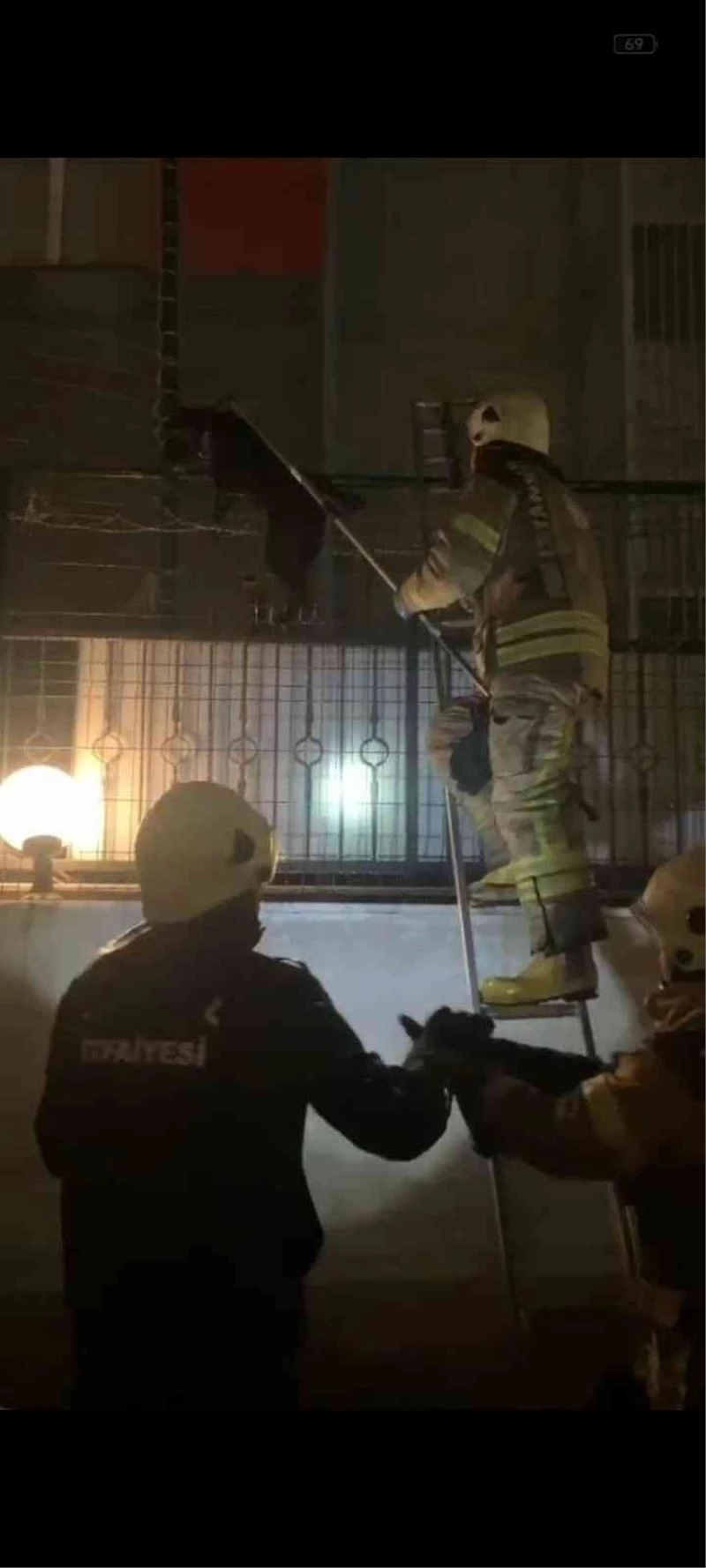 Beylikdüzü’nde tellere sıkışan köpeği kurtarmak için ekipler yoğun çaba harcadı
