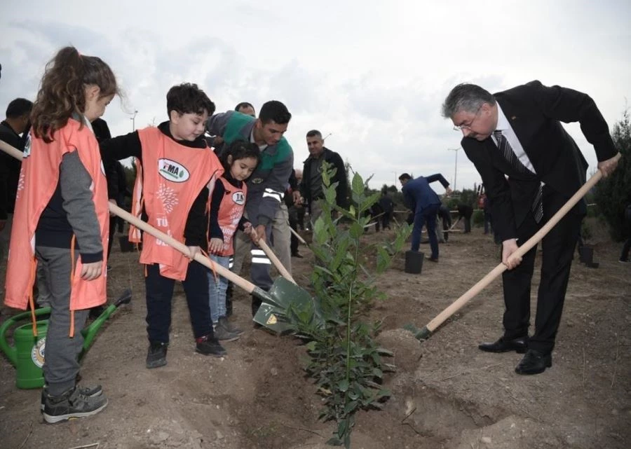 Şehit öğretmen Ayşenur Alkan adına fidan dikildi