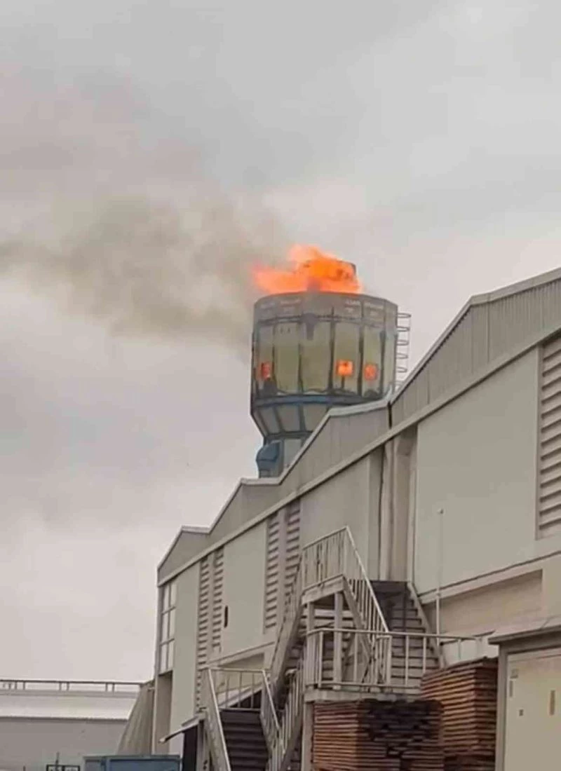 Fabrikanın talaş silosunda yangın
