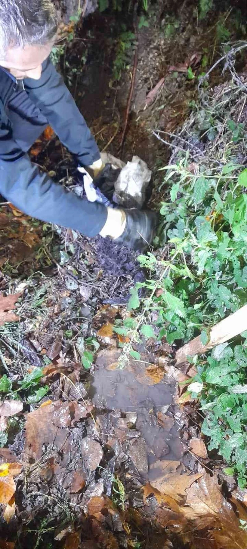 Tellerin arasındaki kediyi kurtardılar
