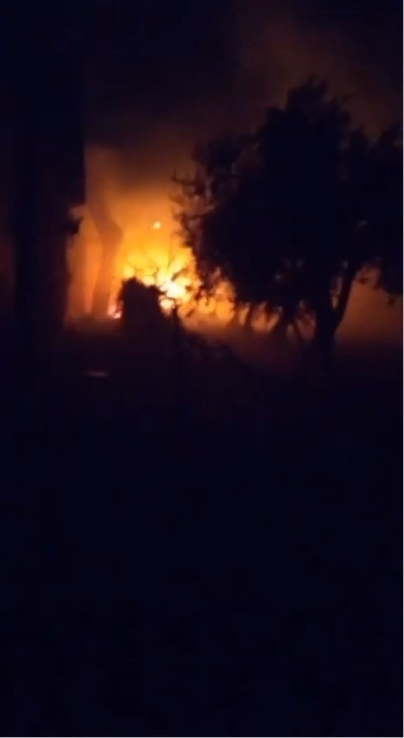 Bursa’da çiftlik alev alev yandı
