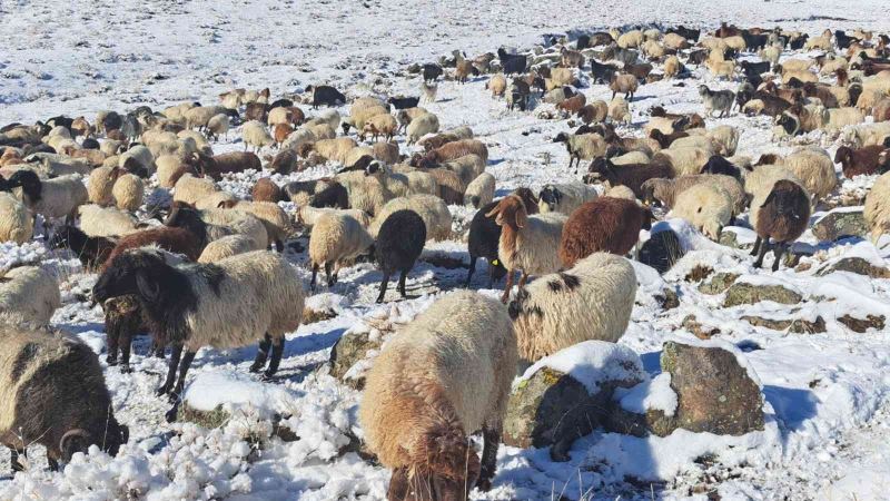 Türkiye’nin en yüksek rakımlı köyüne mevsimin ilk karı yağdı
