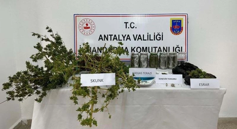 Sera ve evde yetiştirilen uyuşturucuya jandarma operasyonu
