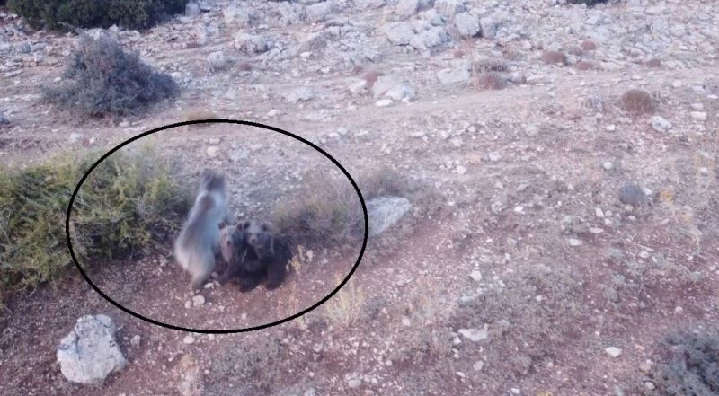 Bodrum’da metrekareye 41 kilogram yağış düştü
