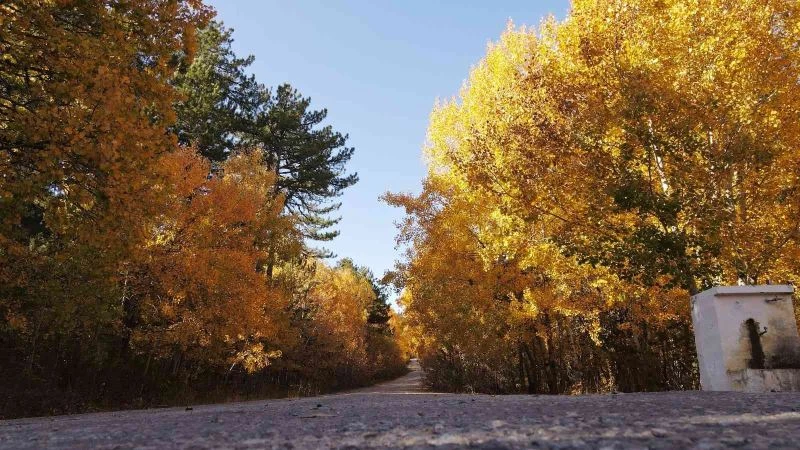 Sonbaharın renkleri görsel şölene dönüştü
