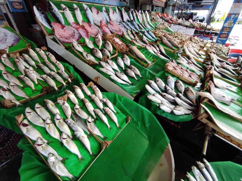 Tezgahlarda somon kıtlığı
